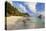 Anse Source d'argent beach, La Digue Island, Seychelles-null-Stretched Canvas