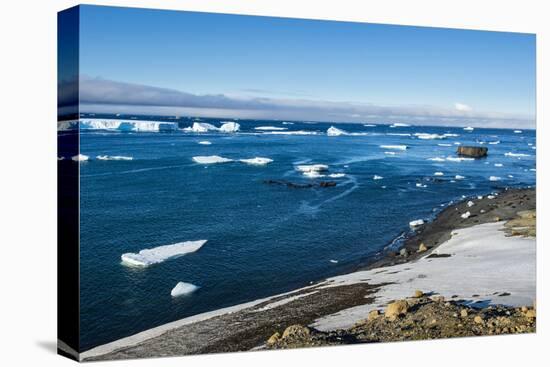 Antarctic fur seal (Arctocephalus gazella), Brown Bluff, Tabarin Peninsula, Antarctica, Polar Regio-Michael Runkel-Premier Image Canvas