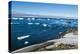 Antarctic fur seal (Arctocephalus gazella), Brown Bluff, Tabarin Peninsula, Antarctica, Polar Regio-Michael Runkel-Premier Image Canvas