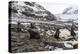 Antarctic fur seal (Arctocephalus gazella) colony, Coronation Island, South Orkney Islands, Antarct-Michael Runkel-Premier Image Canvas