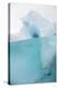 Antarctic Iceberg with Krill, Split View-Louise Murray-Premier Image Canvas