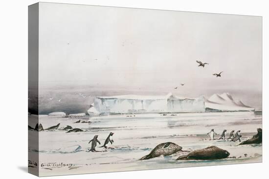 Antarctic Landscape-Edward Adrian Wilson-Premier Image Canvas