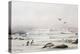 Antarctic Landscape-Edward Adrian Wilson-Premier Image Canvas