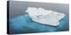 Antarctica, Gentoo, penguins, iceberg-George Theodore-Premier Image Canvas