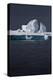 Antarctica. Iceberg-Janet Muir-Premier Image Canvas