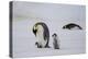 Antarctica, Snow Hill. A very small chick rides on its parent's feet as an older chick follows.-Ellen Goff-Premier Image Canvas