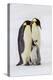 Antarctica, Snow Hill. Two adult emperor penguins stand by their chick.-Ellen Goff-Premier Image Canvas