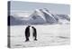 Antarctica, Snow Hill. Two emperor penguins stand together in the icy landscape.-Ellen Goff-Premier Image Canvas