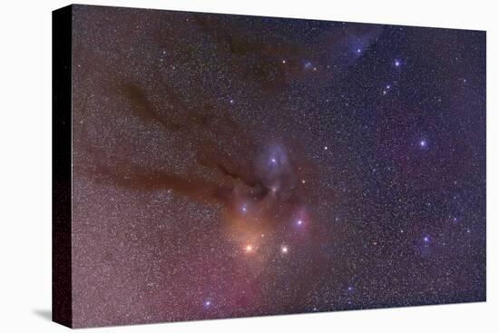 Antares and Scorpius Head Area with Rho Ophiuchi Nebulosity-null-Premier Image Canvas