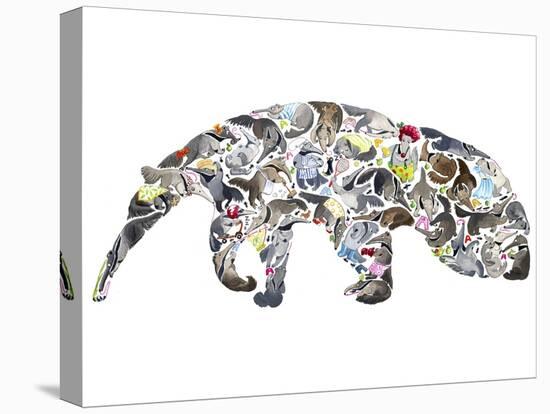 Anteater-Louise Tate-Premier Image Canvas