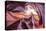 Antelope Canyon 2 Color-Moises Levy-Premier Image Canvas