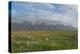 Antelope Flats, Grand Teton National Park-Alan Majchrowicz-Premier Image Canvas