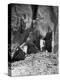 Antelope Ruin - Canon del Muerto-Edward S. Curtis-Premier Image Canvas