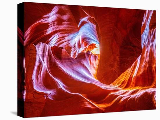 Antelope Wave-Marco Carmassi-Premier Image Canvas