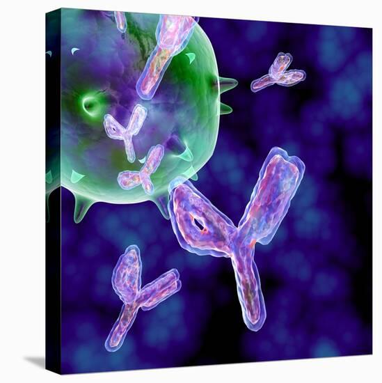 Antibodies, Artwork-PASIEKA-Premier Image Canvas