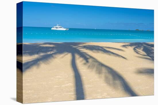 Antigua, Jolly Bay Beach, Palm Trees Casting Shadows-Alan Copson-Premier Image Canvas
