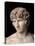 Antinous Farnese, 2nd Century, Marble, All Rounded-null-Premier Image Canvas