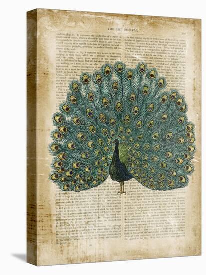 Antiquarian Birds V-null-Stretched Canvas