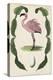 Antiquarian Menagerie - Flamingo II-Naomi McCavitt-Stretched Canvas