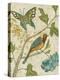 Antique Aviary III-Chariklia Zarris-Stretched Canvas