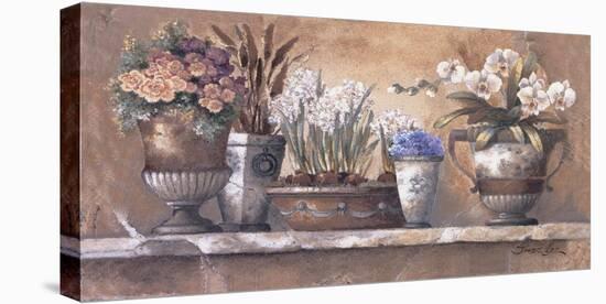 Antique Blossoms-James Lee-Stretched Canvas