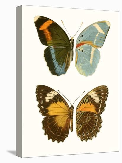 Antique Blue Butterflies III-Vision Studio-Stretched Canvas