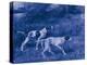 Antique Blue Dogs III-Vision Studio-Stretched Canvas