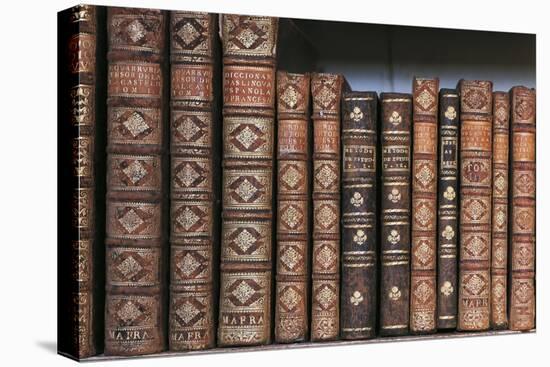 Antique Books-null-Premier Image Canvas