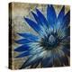 Antique Botanicals III-Liz Jardine-Stretched Canvas