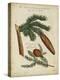 Antique Conifers III-Henry Fletcher-Stretched Canvas