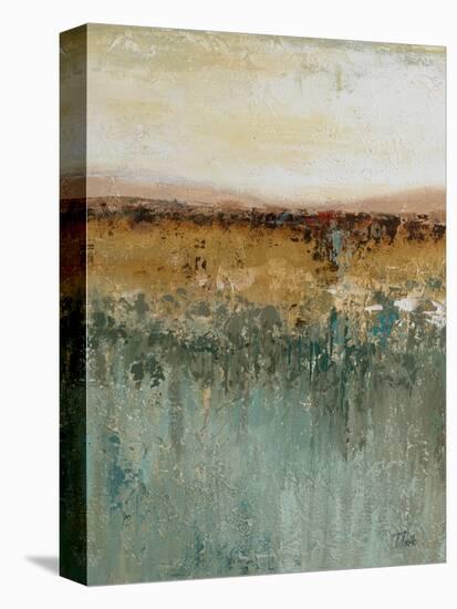 Antique Contemporary II-Patricia Pinto-Stretched Canvas