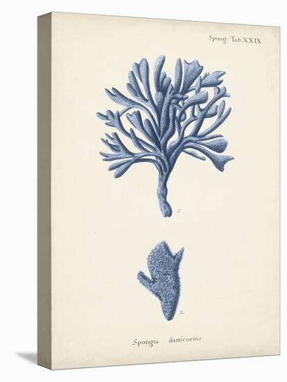 Antique Coral in Navy IV-Johann Esper-Stretched Canvas