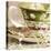 Antique Cups and Saucers with Pearls 02-Tom Quartermaine-Premier Image Canvas