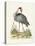 Antique Heron & Cranes I-George Edwards-Stretched Canvas