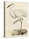 Antique Heron III-null-Stretched Canvas