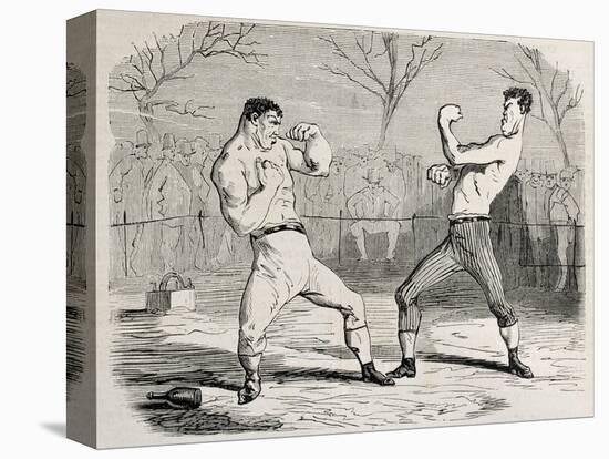 Antique Humorous Illustration Of A Boxing Match Beginning-marzolino-Stretched Canvas