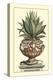 Antique Munting Aloe IV-Abraham Munting-Stretched Canvas