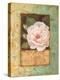 Antique Rose II-Jillian Jeffrey-Stretched Canvas