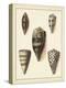 Antique Shells IV-Denis Diderot-Stretched Canvas