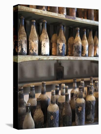 Antique Sherry Jars, Bodegas Gonzalez Byass, Jerez De La Frontera, Spain-Walter Bibikow-Premier Image Canvas