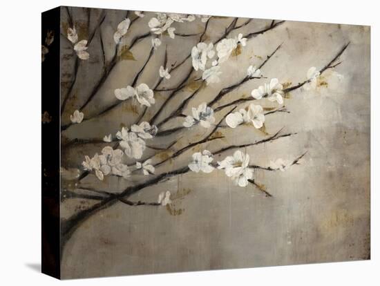 Antique Tree-Kari Taylor-Premier Image Canvas