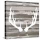 Antler Art I-Tandi Venter-Stretched Canvas