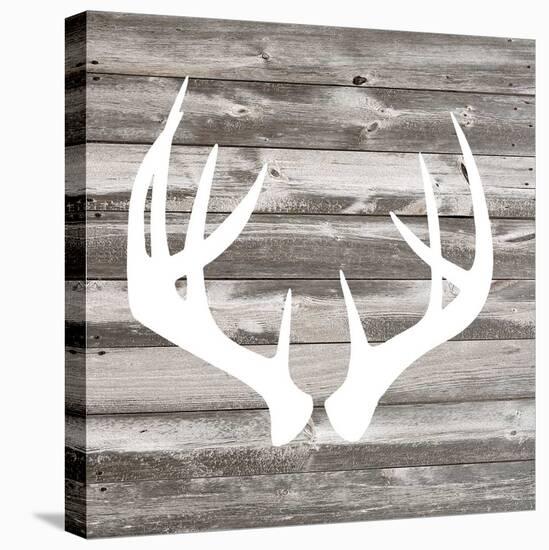 Antler Art II-Tandi Venter-Stretched Canvas