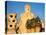 Antonio Gaudi's La Pedrera, Casa Mila, Barcelona, Spain-David Barnes-Premier Image Canvas