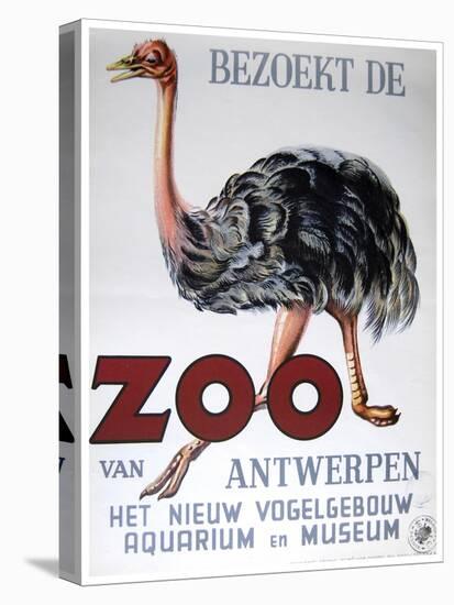 Antwerp Zoo-Vintage Apple Collection-Premier Image Canvas