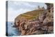 Anvil Point, Swanage-Alfred Robert Quinton-Premier Image Canvas