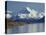 Aoraki Mount Cook and Lake Pukaki, Mackenzie Country, South Canterbury, South Island, New Zealand-David Wall-Premier Image Canvas