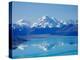 Aoraki, Mt Cook and Lake Pukaki, South Canterbury, South Island, New Zealand-David Wall-Premier Image Canvas