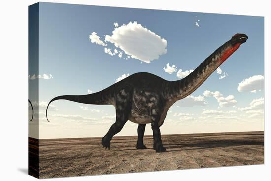 Apatosaurus Dinosaur Walking in the Desert-Stocktrek Images-Stretched Canvas