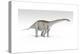 Apatosaurus Dinosaur, White Background-null-Stretched Canvas